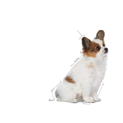 Royal Canin Puppy X-Small Dry Dog Food 1.5kg