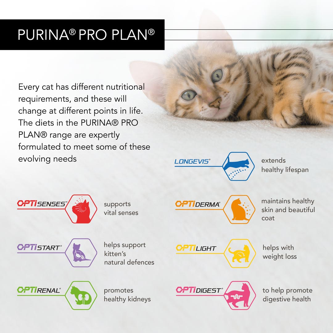 Pro Plan Adult Housecat Nutri Savour Salmon in Gravy Wet Cat Food