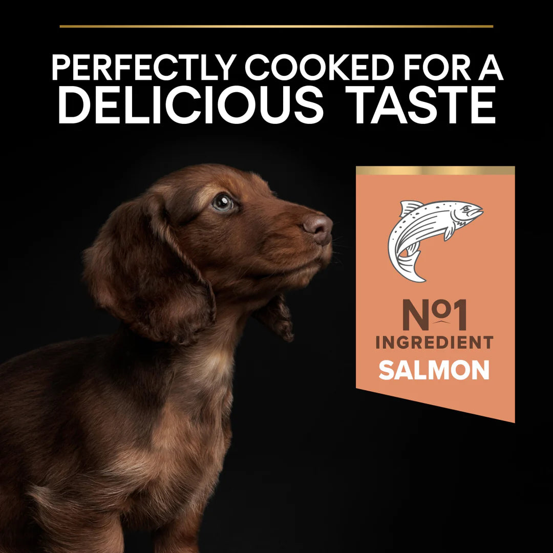 Pro Plan Adult Small and Mini Sensitive Skin Salmon Dry Dog Food 3kg