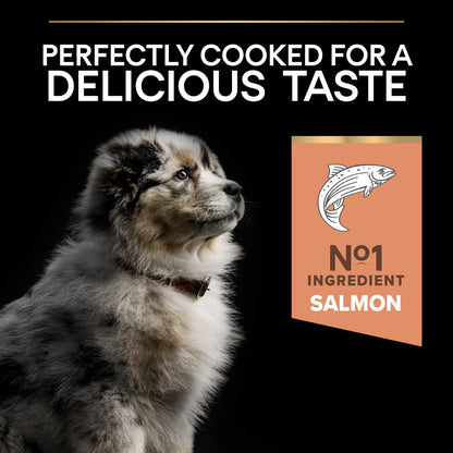 Pro Plan Medium Puppy Sensitive Skin Salmon Dry Dog Food