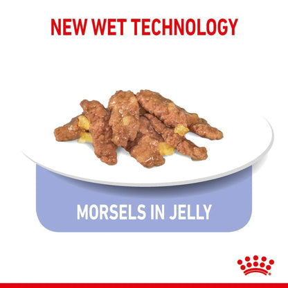 Royal Canin Adult Indoor Sterilised Morsels In Jelly Wet Cat Food