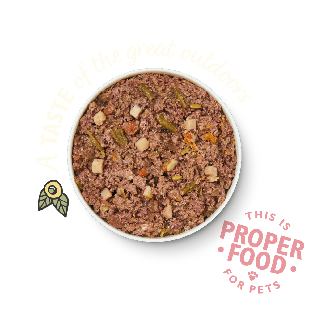Lily's Kitchen Wild Campfire Stew Venison Wet Dog Food