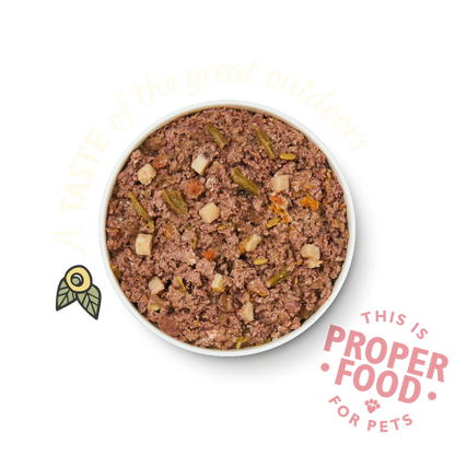 Lily's Kitchen Wild Campfire Stew Venison Wet Dog Food