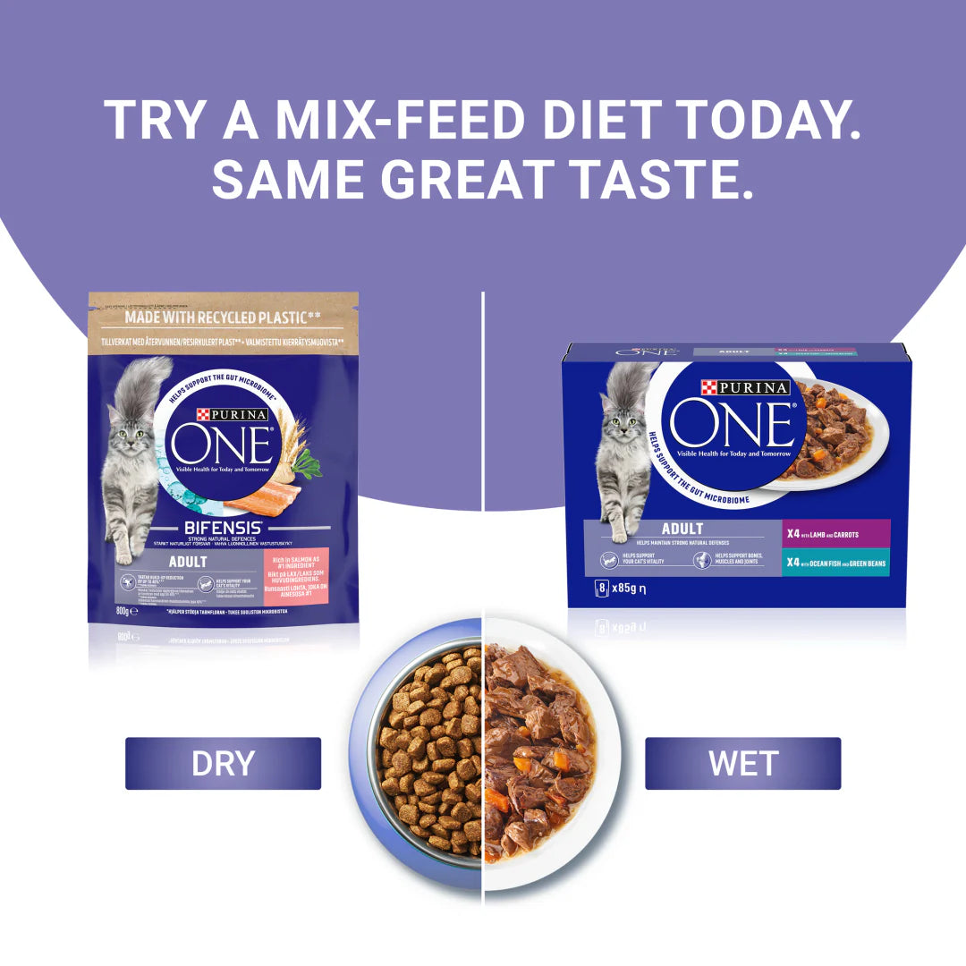 Purina One Adult Mini Fillets Ocean Fish and Lamb Wet Cat Food 8 x 85g