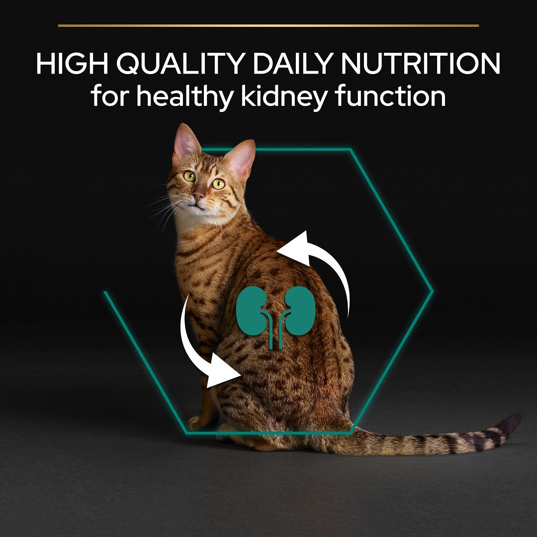 Pro Plan Adult Renal Plus Chicken Dry Cat Food