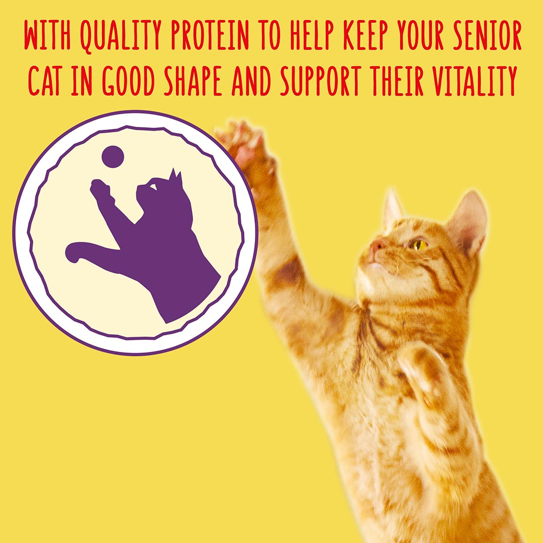 Go Cat Senior Chicken Dry Cat Food 2kg