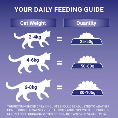 Purina One Senior 7+ Salmon Dry Cat Food 750g