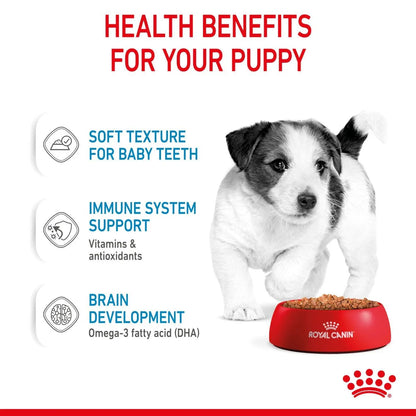 Royal Canin Puppy Mini Chunks In Gravy Wet Dog Food