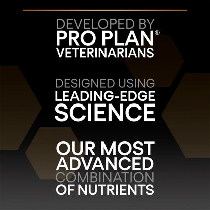 Pro Plan Large Robust Puppy Healthy Start Chicken Dry Dog Food