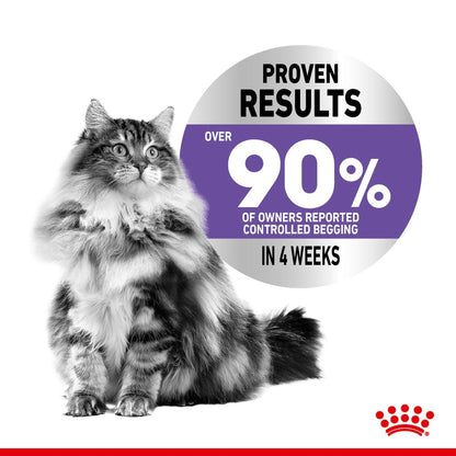 Royal Canin Adult Appetite Control Care Thin Slices In Gravy Wet Cat Food