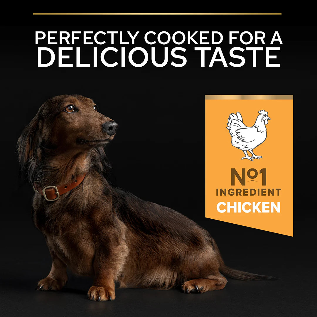 Pro Plan Small and Mini Adult 9+ Senior Age Defence Chicken Dry Dog Food 3kg