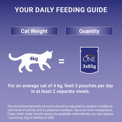 Purina One Adult Mini Fillets Selective Palate Wet Cat Food 8x 85g
