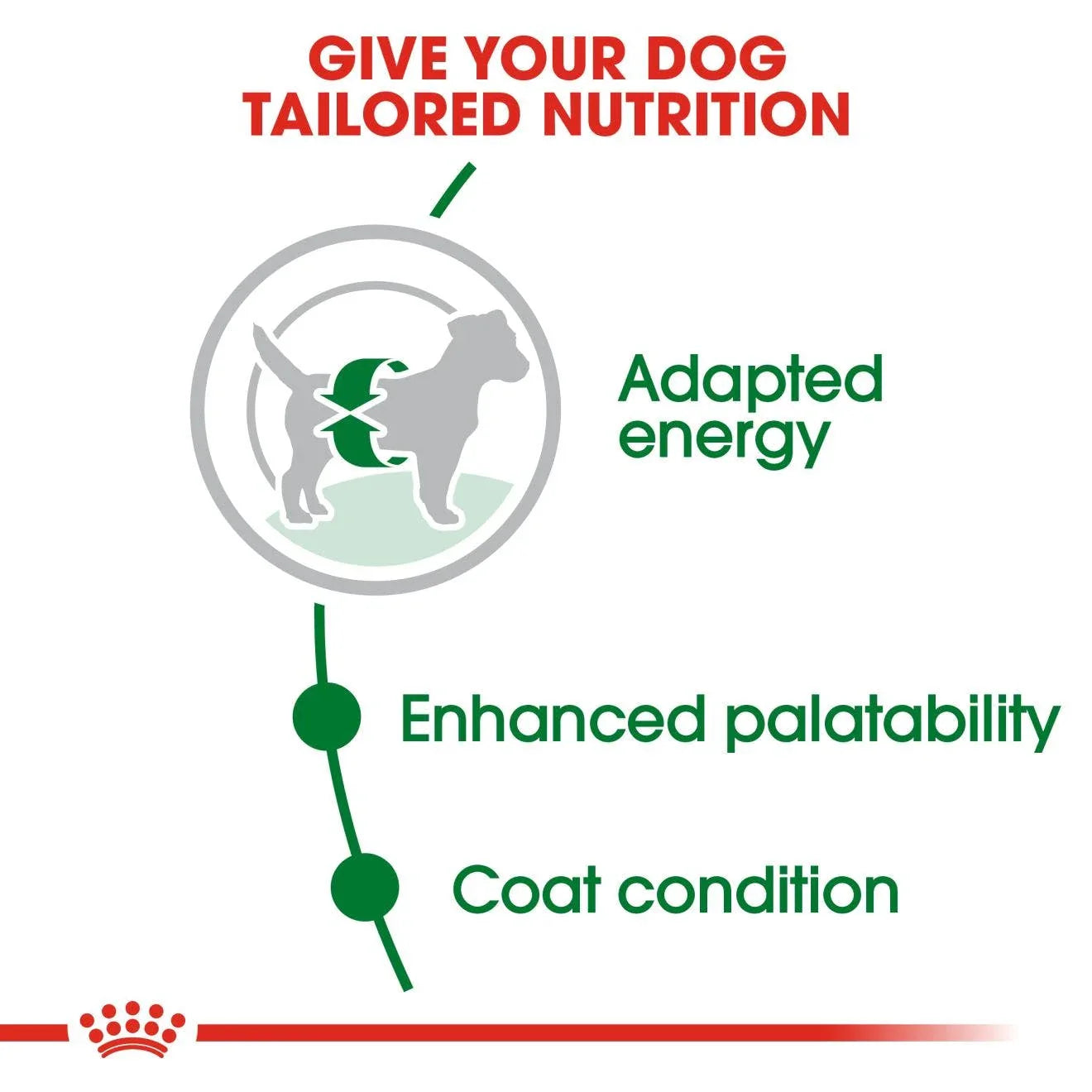 Royal Canin Adult Mini Dry Dog Food