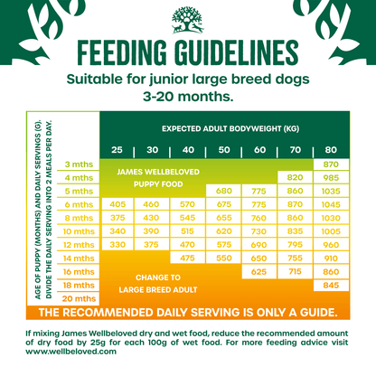 James Wellbeloved Junior Large Breed Duck & Rice Dry Dog Food 15kg