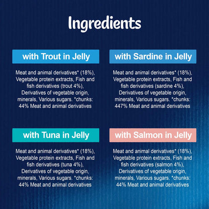 Felix As Good As it Looks Kitten Fish Selection in Jelly Wet Cat Food 12 x 100g
