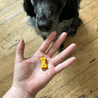 Beco Peanut with Coconut & Turmeric Dog Treats 70g