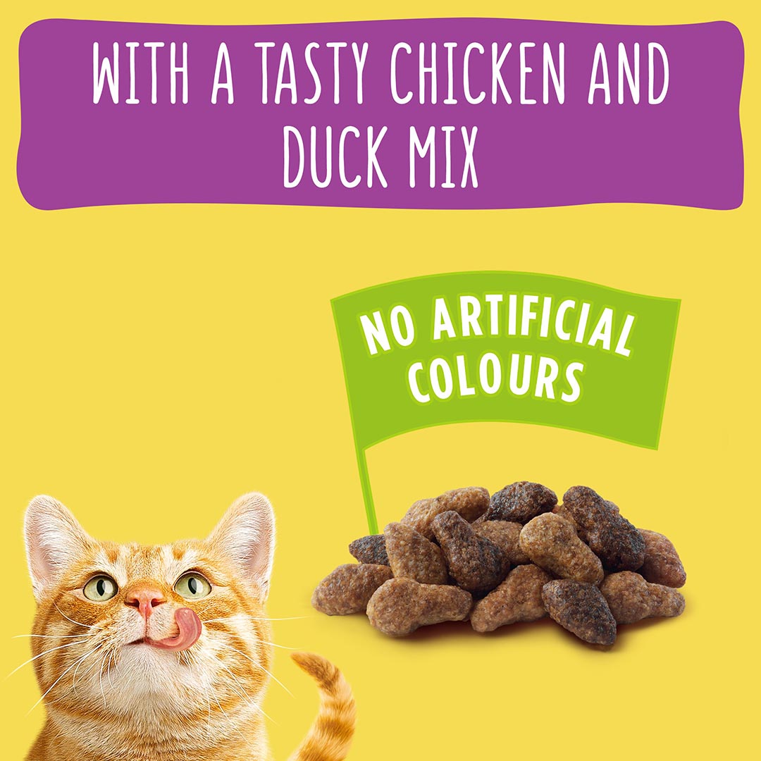 Go Cat Adult Chicken and Duck Dry Cat Food