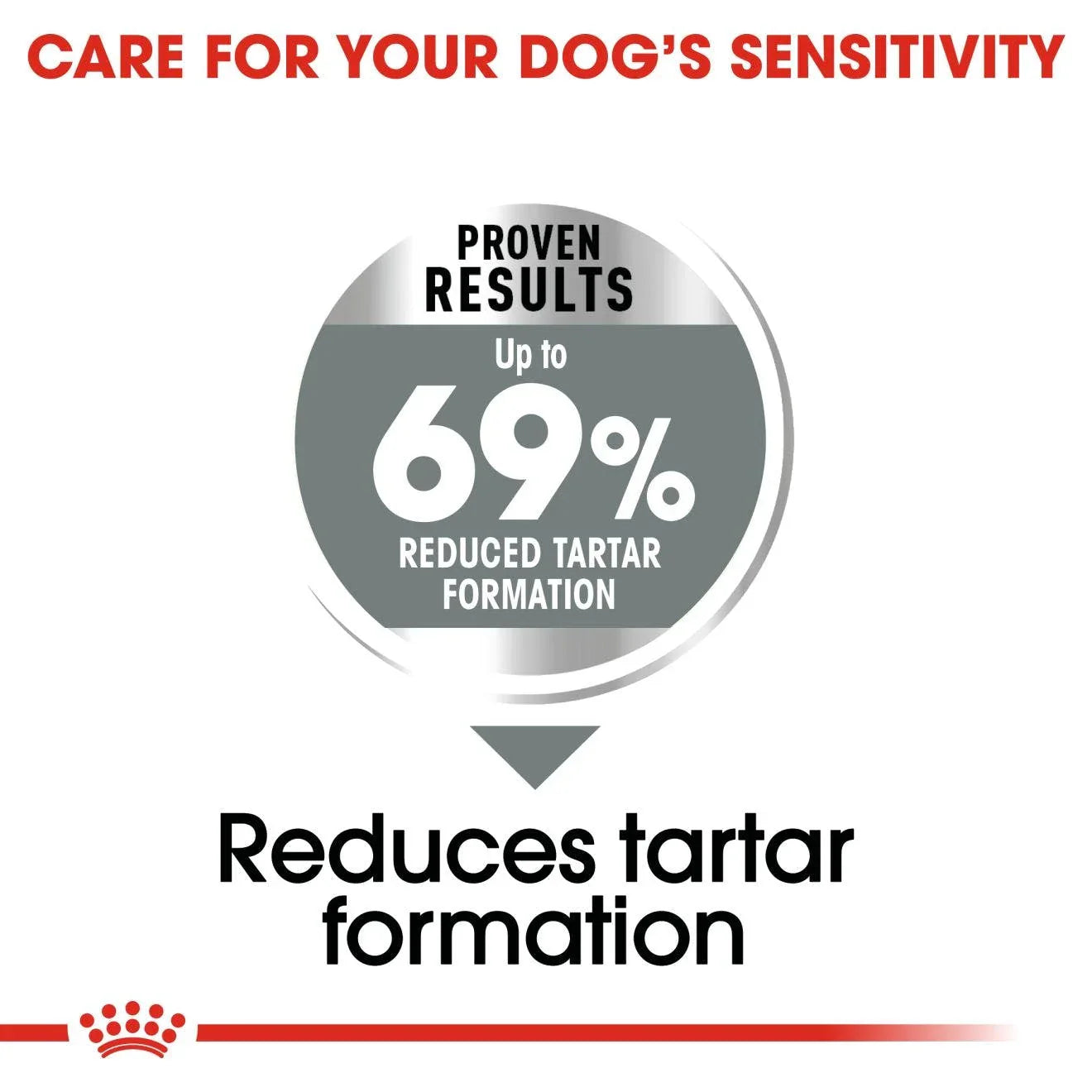 Royal Canin Adult Mini Dental Care Dry Dog Food