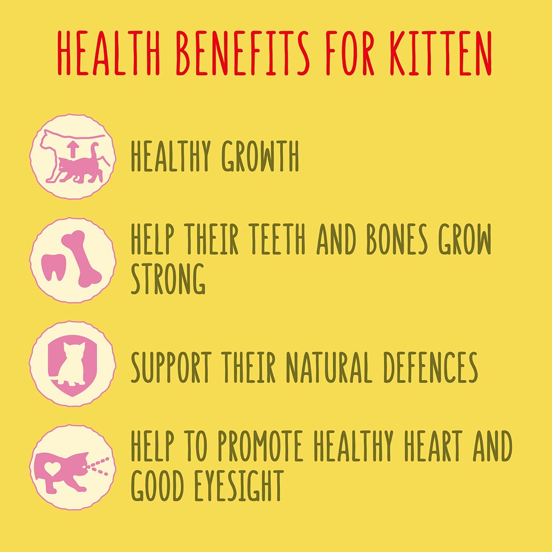 Go Cat Junior Chicken and Milk Dry Cat Food