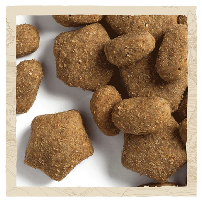 Beta Adult Sensitive Salmon Dry Dog Food