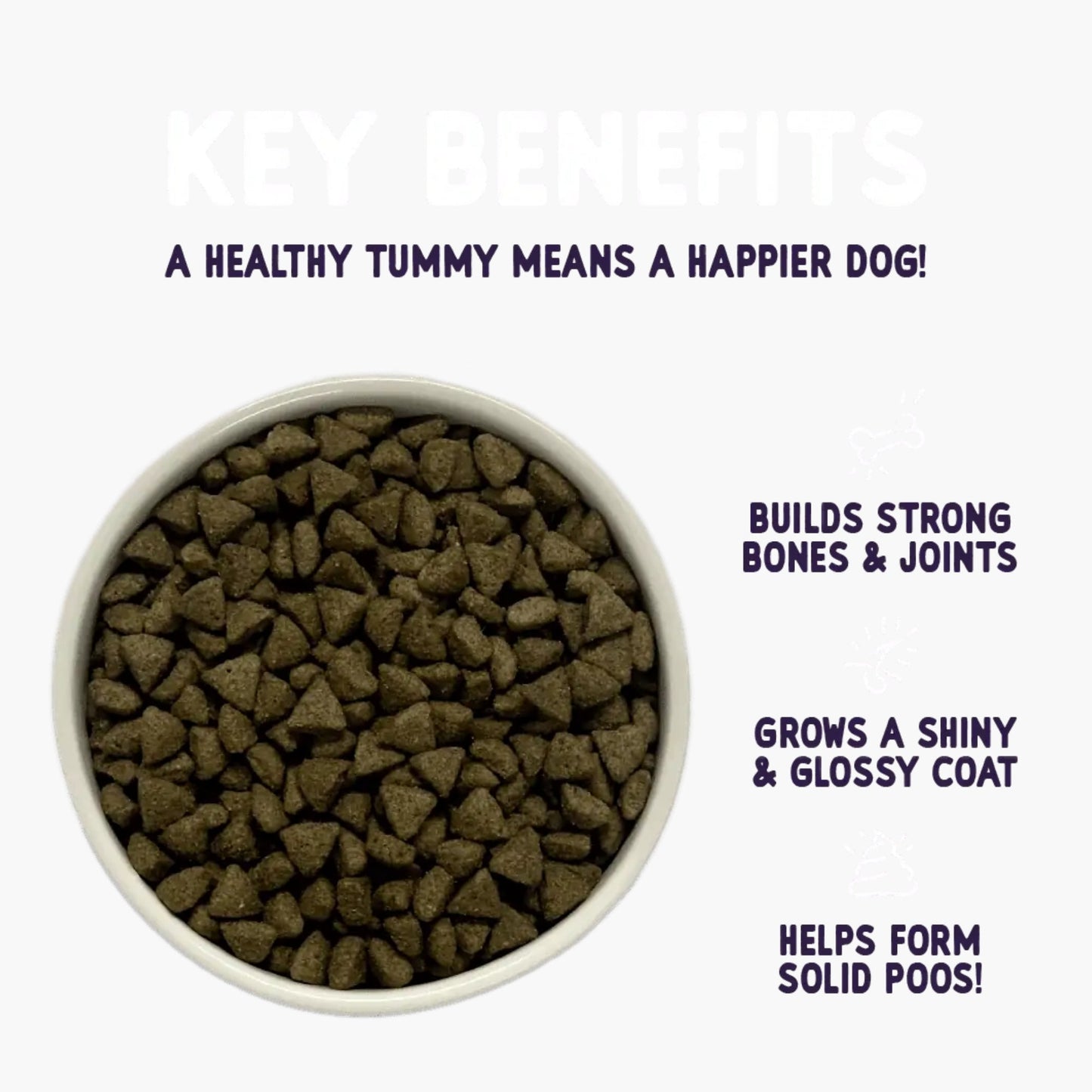 Burgess Sensitive Adult Turkey Dry Dog Food