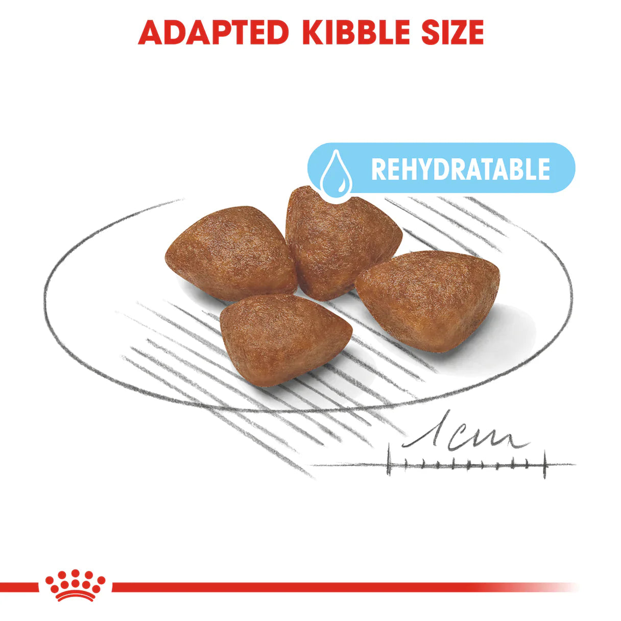Royal Canin Adult and Puppy Mini Starter Mother & Babydog Dry Dog Food