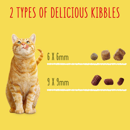 Go Cat Adult Crunchy and Tender Beef and Chicken Dry Cat Food 900g