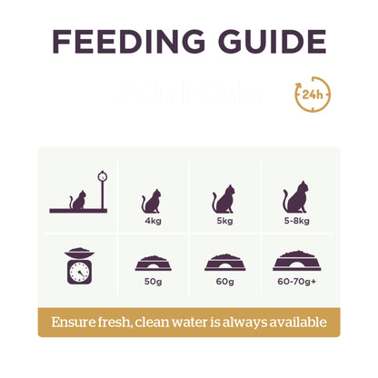 Burgess Adult Rich In Chicken with Duck Dry Cat Food