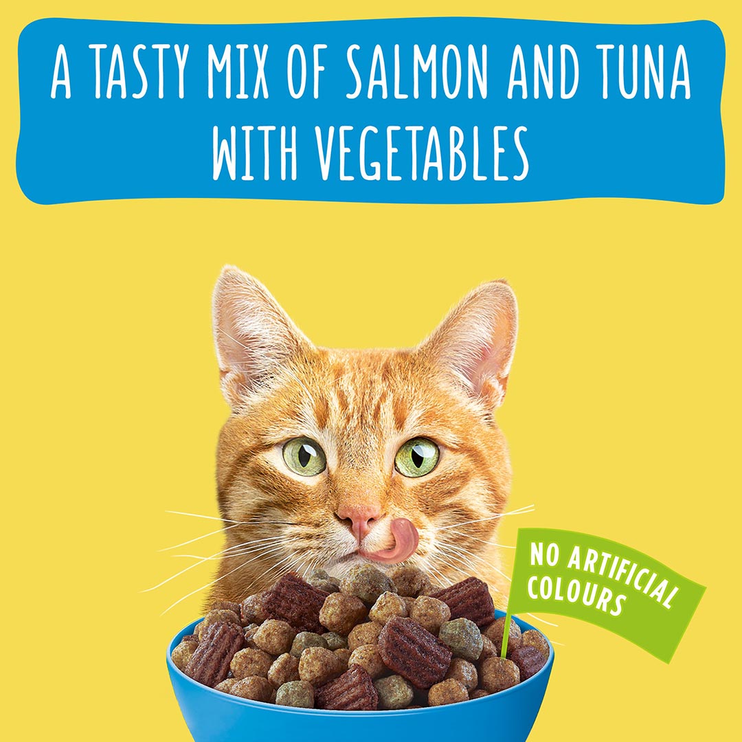 Go Cat Adult Crunchy and Tender Salmon and Tuna Dry Cat Food 900g