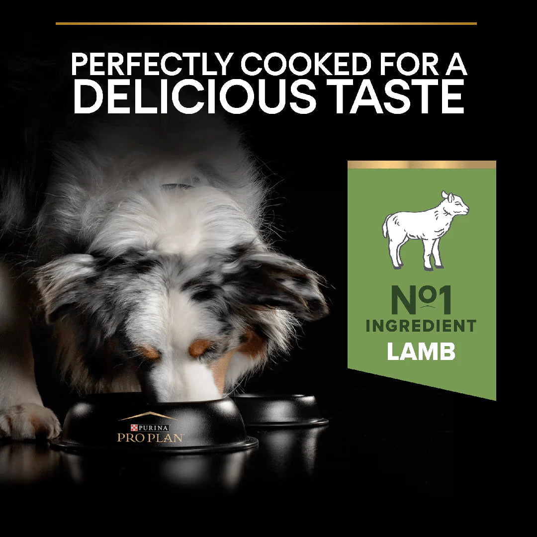 Pro Plan Adult Medium Sensitive Digestion Lamb Dry Dog Food