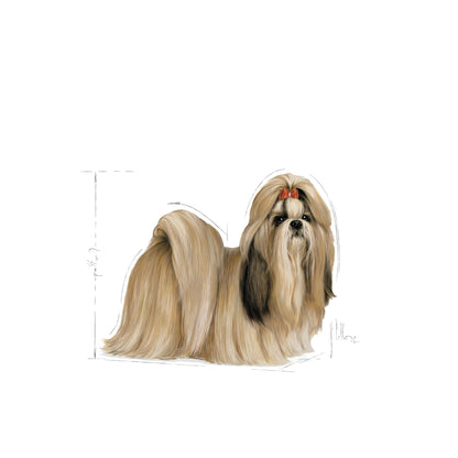 Royal Canin Adult Shih Tzu Loaf Wet Dog Food