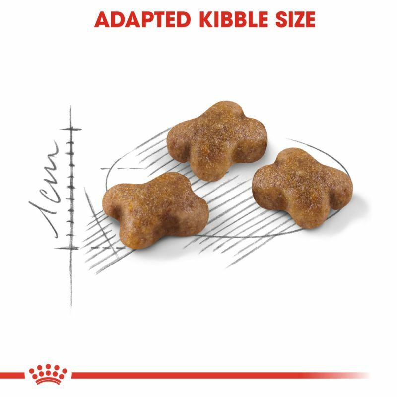 Royal Canin Kitten Dry Cat Food