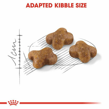 Royal Canin Kitten Dry Cat Food