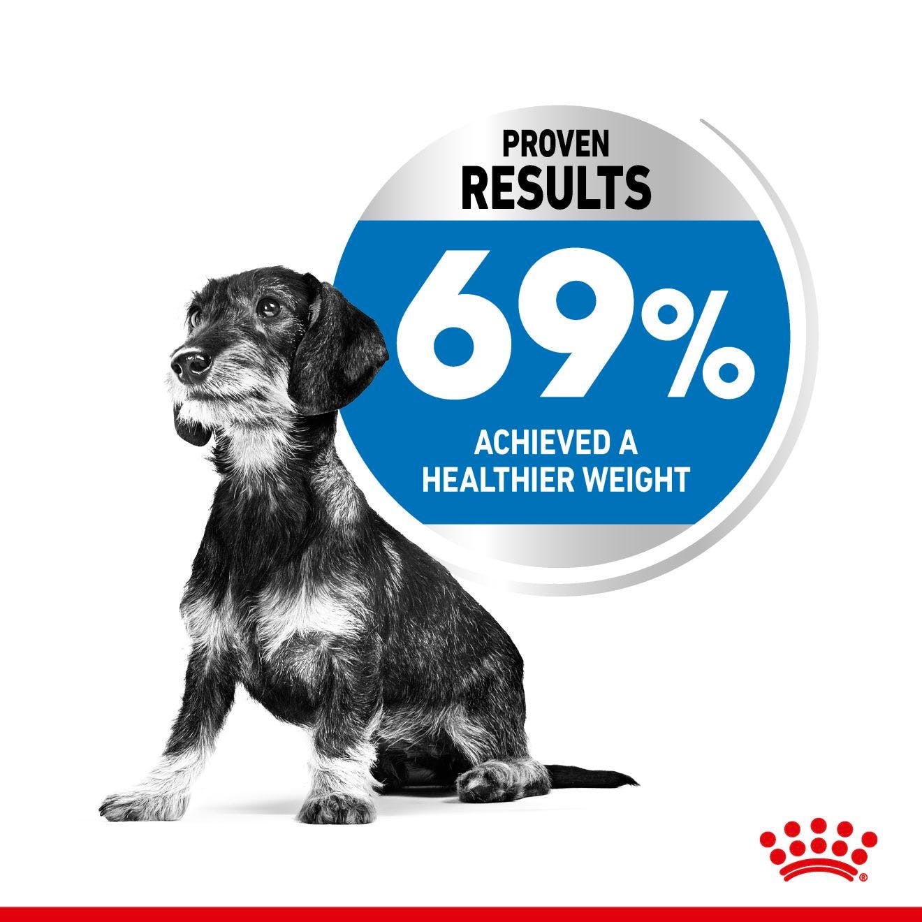 Royal Canin Adult X-Small Light Weight Care Dry Dog Food 1.5kg