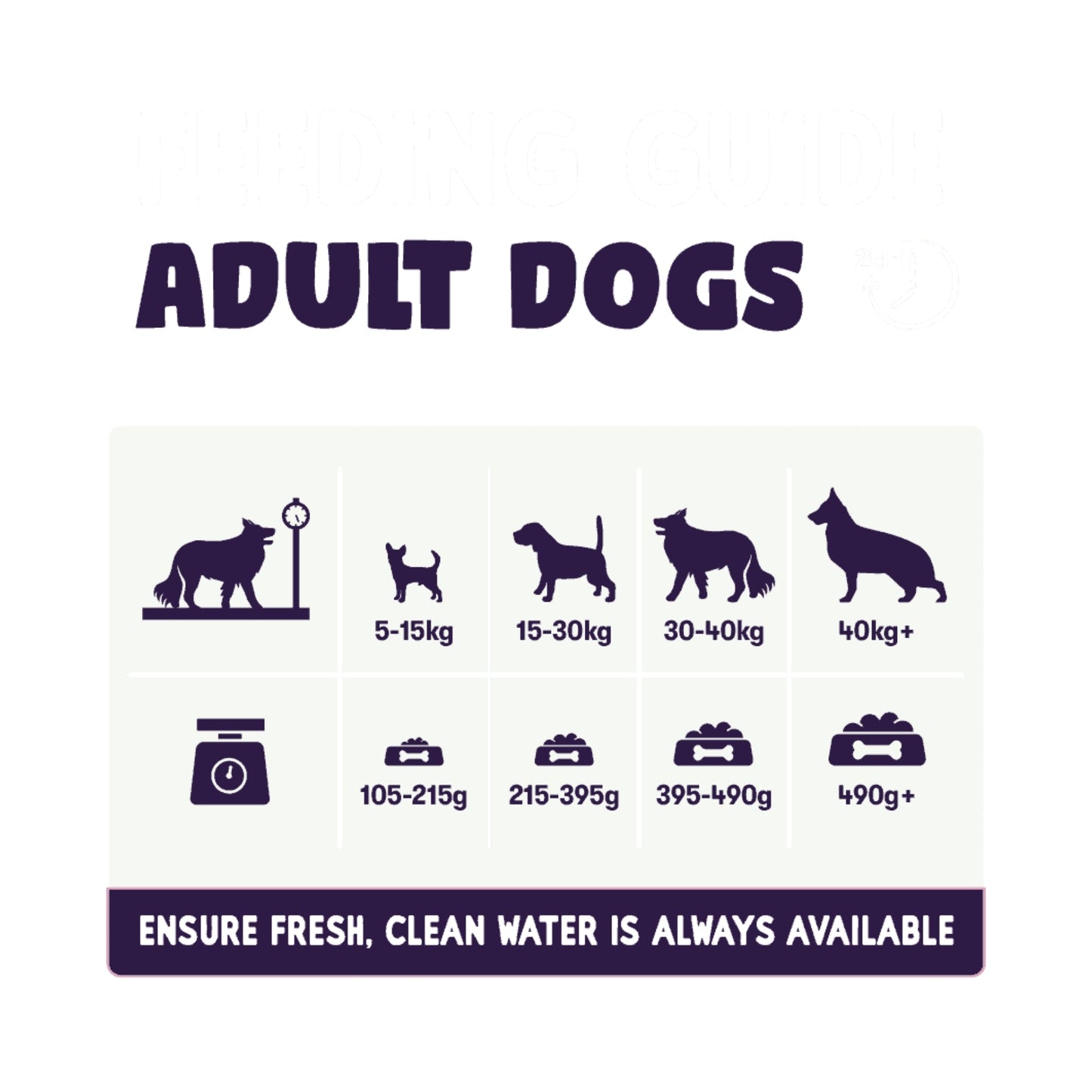 Burgess Sensitive Adult Salmon Dry Dog Food