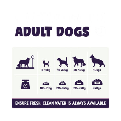 Burgess Sensitive Adult Salmon Dry Dog Food