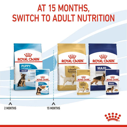 Royal Canin Puppy Maxi Chunks In Gravy Wet Dog Food
