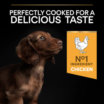 Pro Plan Small and Mini Puppy Healthy Start Chicken Dry Dog Food