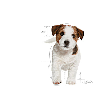 Royal Canin Puppy Mini Dry Dog Food