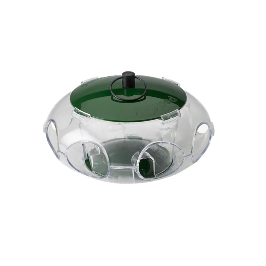 Peckish Small Bird Feeder