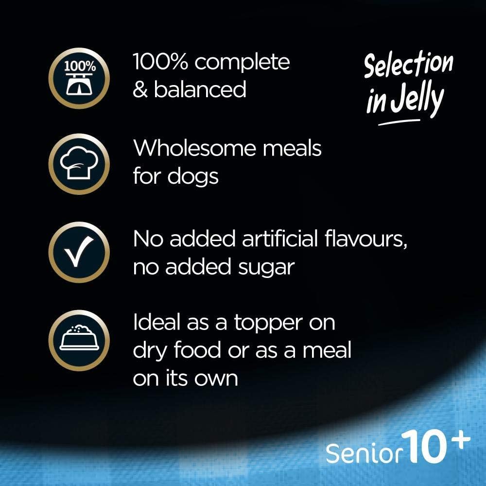 Cesar Senior 10+ Selection in Jelly Wet Dog Food 12 x 100g