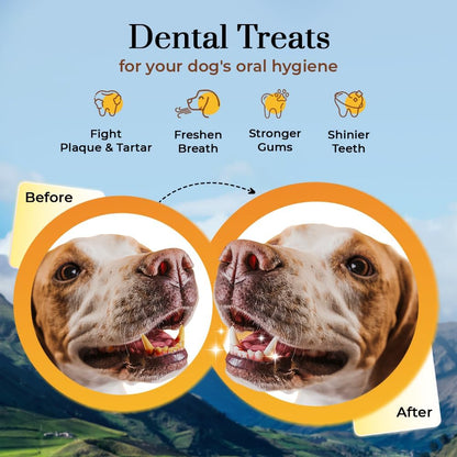 DogSee Chew Medium Bars Long-lasting Dental Dog Chews 50g
