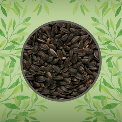 Copdock Mill Black Sunflower Seeds Bird Food 12.75kg
