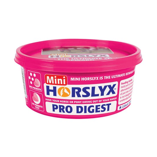 Horslyx Mini Pro Digest Balancer Equine Supplement 650g