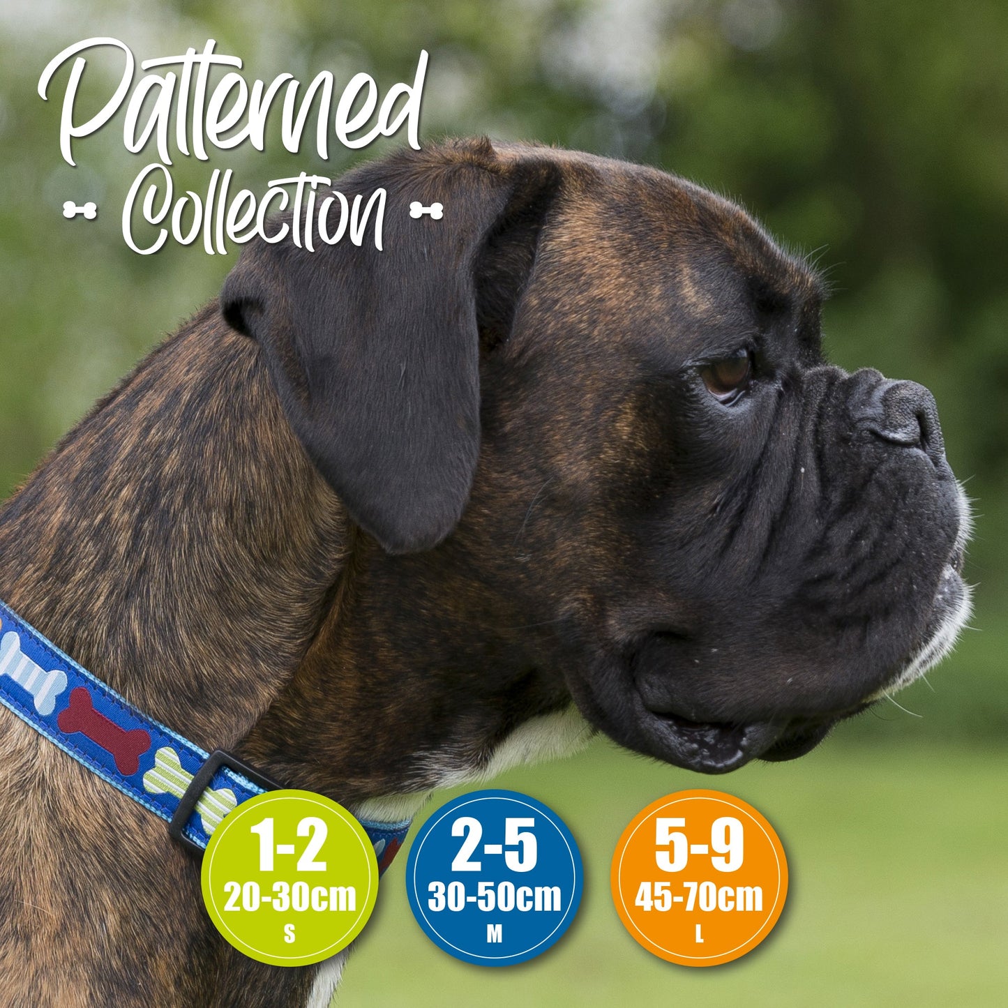 Ancol Fashion Dog Collar Blue Reflective Bones Adj