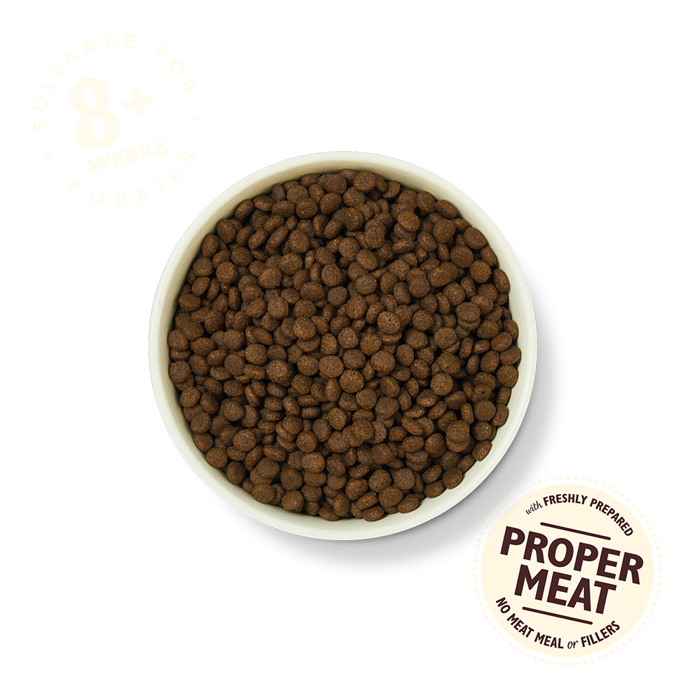 Lily's Kitchen Grain Free Puppy Recipe Chicken & Salmon Dry Dog Food