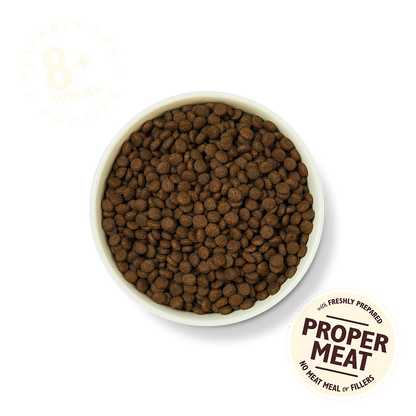 Lily's Kitchen Grain Free Puppy Recipe Chicken & Salmon Dry Dog Food