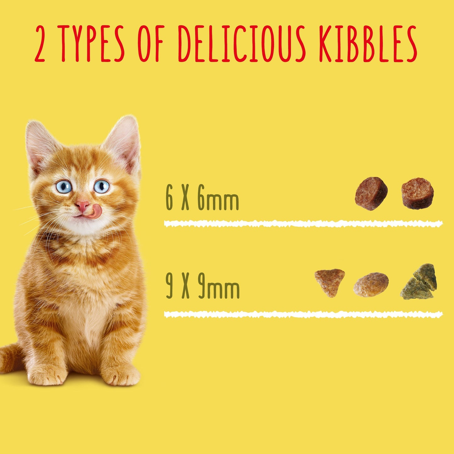 Go Cat Crunchy and Tender Kitten Chicken Dry Cat Food 800g