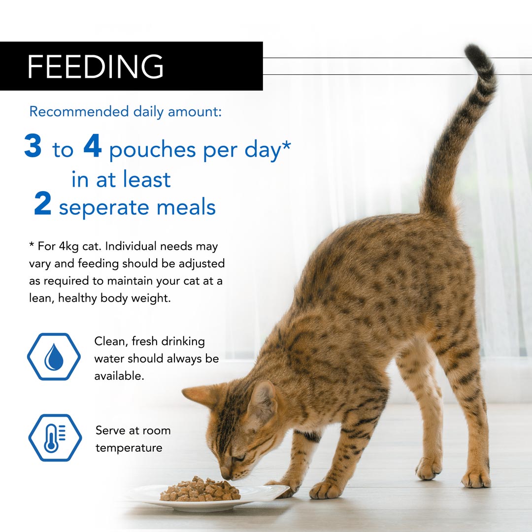 Pro Plan Adult Housecat Nutri Savour Salmon in Gravy Wet Cat Food