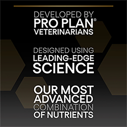 Pro Plan Medium Puppy Healthy Start Chicken Dry Dog Food